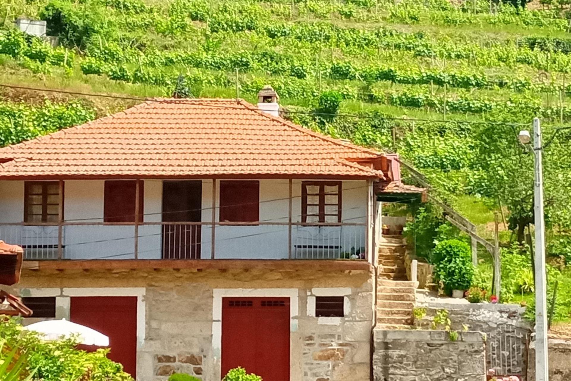 Descubra D. Maria São Pedro de Balsemão: A Experiência que Transforma Suas Férias - Imagem 1