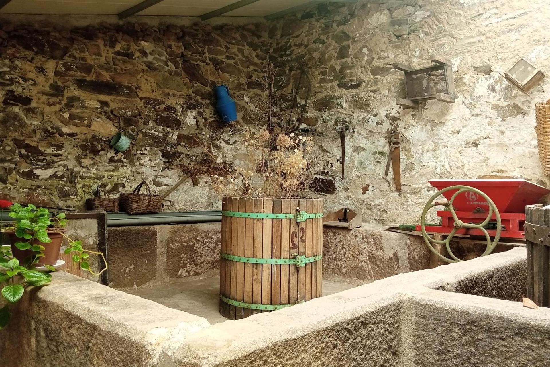 Descubra D. Maria São Pedro de Balsemão: A Experiência que Transforma Suas Férias - Imagem 33