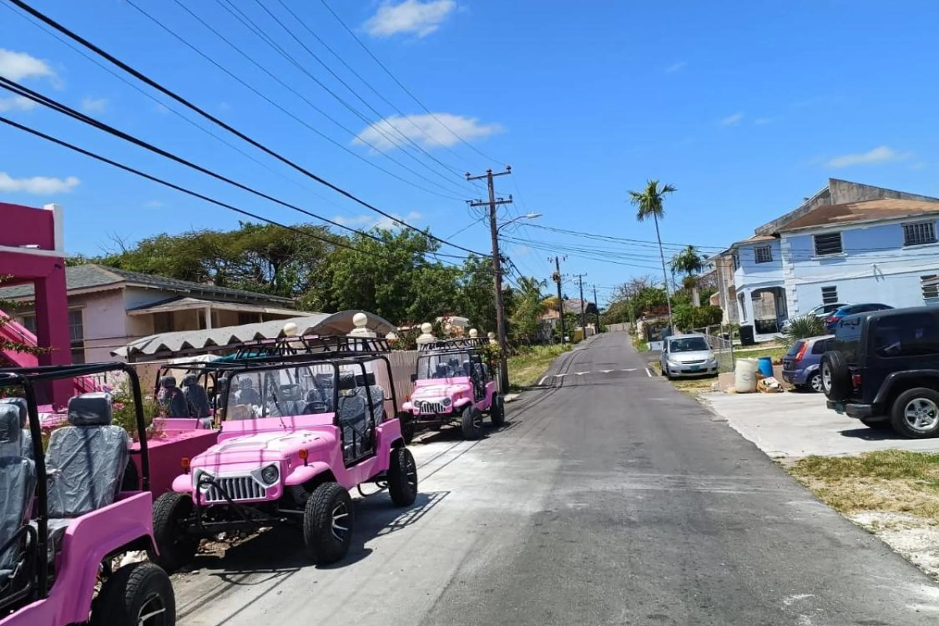 Da Pink And White Palace - Image 18
