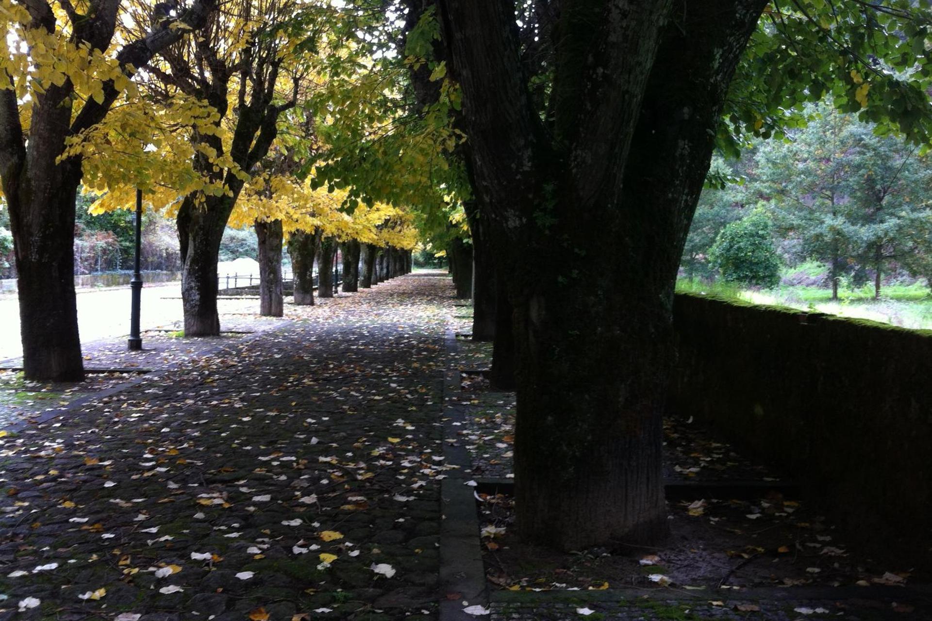 Descubra o Douro Marina Hotel & SPA: O Refúgio Ideal para Todos - Imagem 34