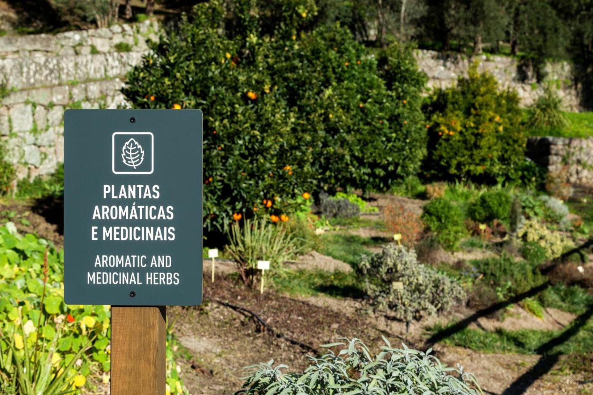 Descubra o Douro Palace Hotel Resort & SPA: Uma Experiência Inesquecível - Imagem 34