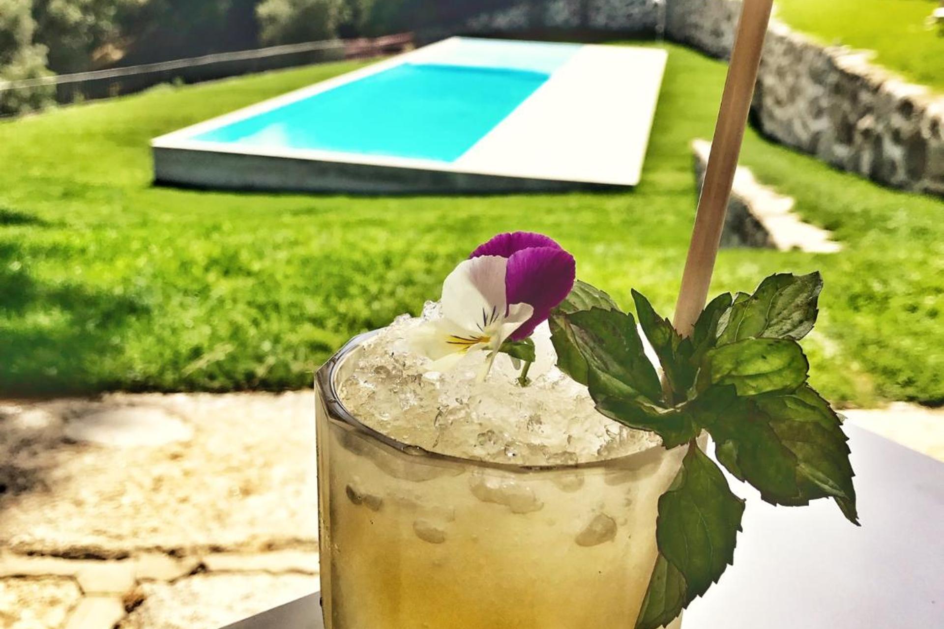 Descubra o Douro Palace Hotel Resort & SPA: Uma Experiência Inesquecível - Imagem 43