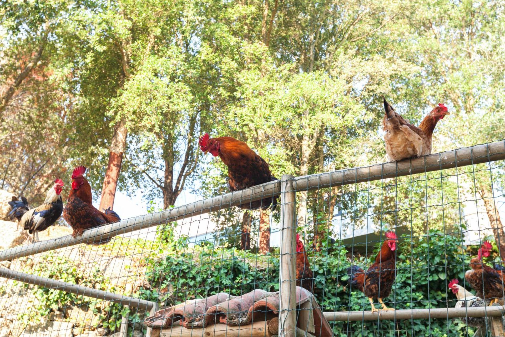 Descubra o Douro Palace Hotel Resort & SPA: Uma Experiência Inesquecível - Imagem 70