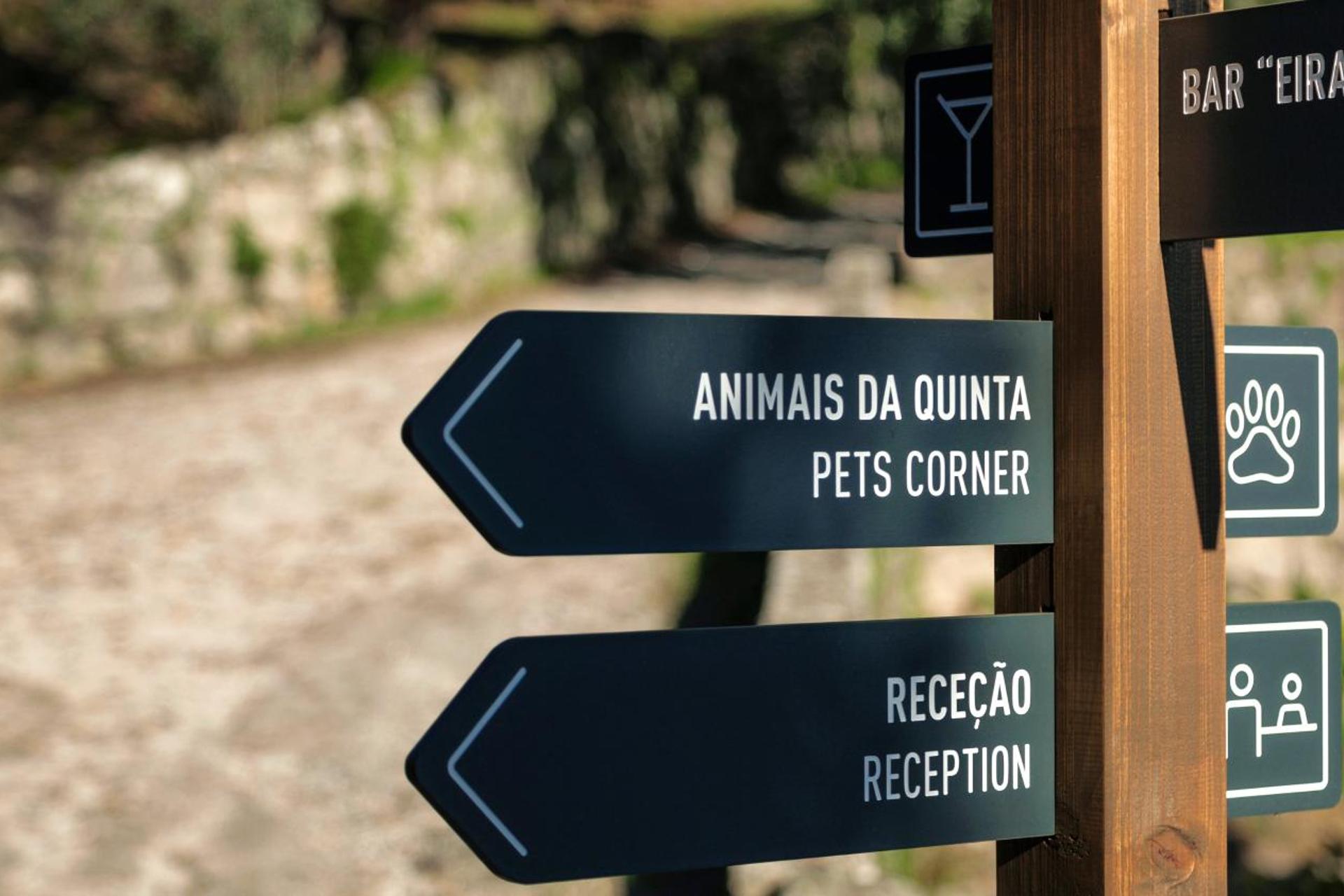 Descubra o Douro Palace Hotel Resort & SPA: Uma Experiência Inesquecível - Imagem 71