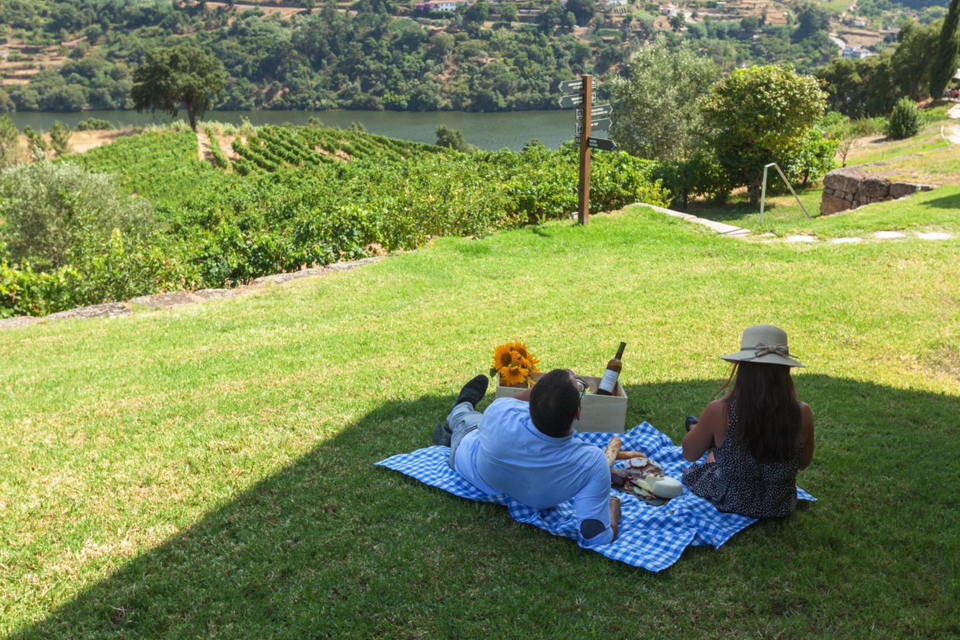 Descubra o Douro Palace Hotel Resort & SPA: Uma Experiência Inesquecível - Imagem 77