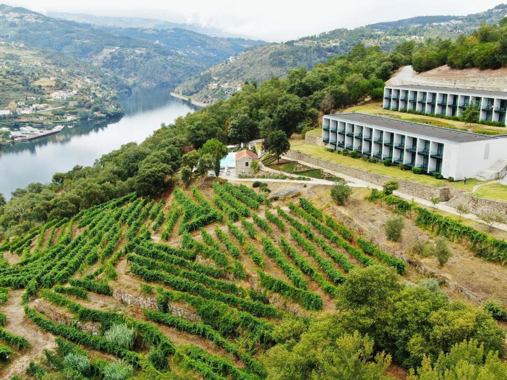 Descubra o Douro Palace Hotel Resort & SPA: Uma Experiência Inesquecível