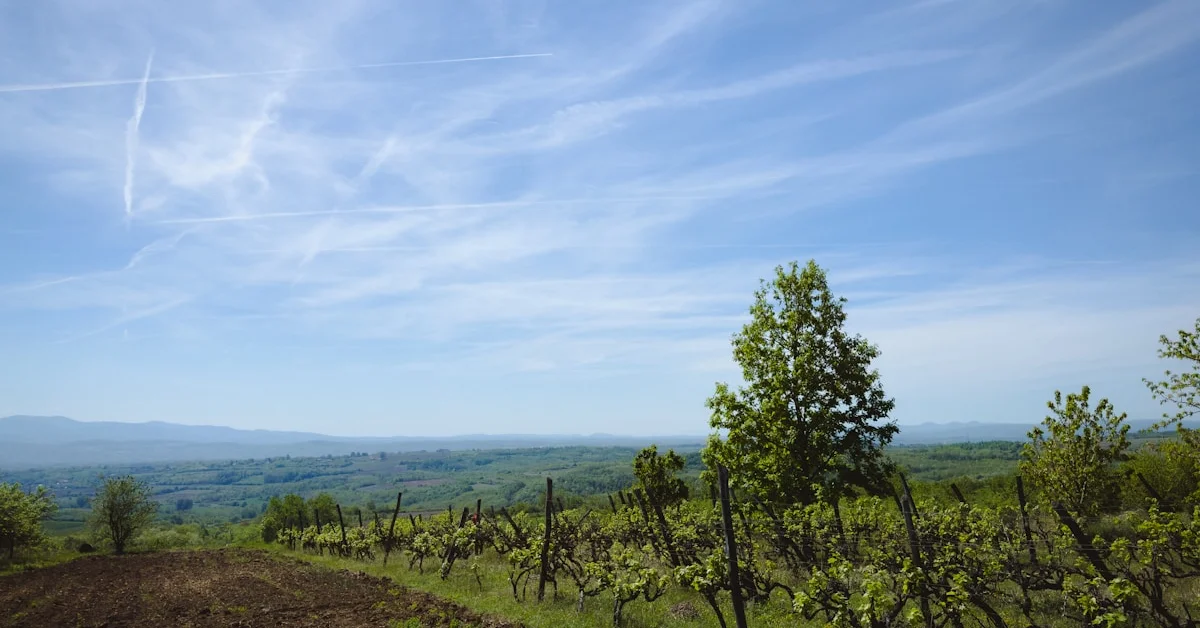 Trail das Amendoeiras Durius Pesqueira 2026