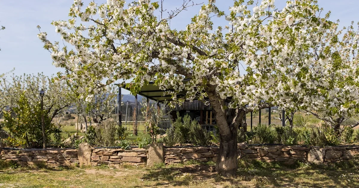 Primavera Poetica Gondomar 2026