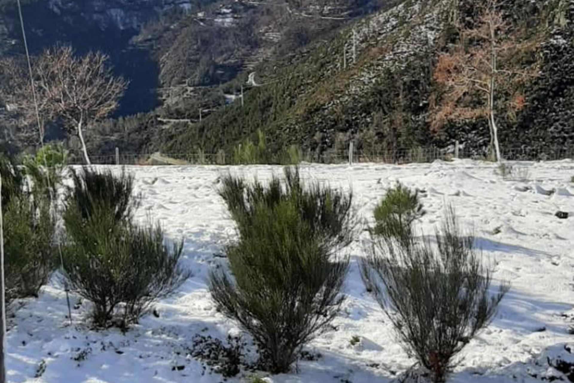 Descubra o Gite Cantinho Davô: Uma Experiência Inesquecível em Hospitalidade - Imagem 17