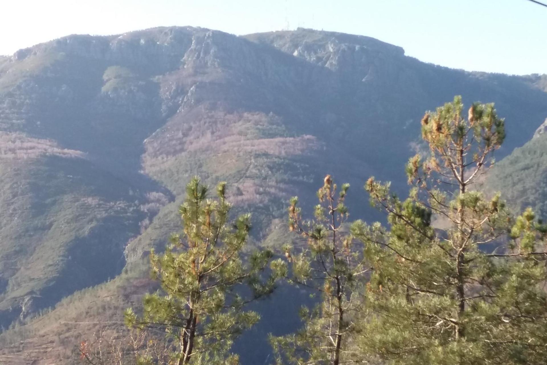 Descubra o Gite Cantinho Davô: Uma Experiência Inesquecível em Hospitalidade - Imagem 22