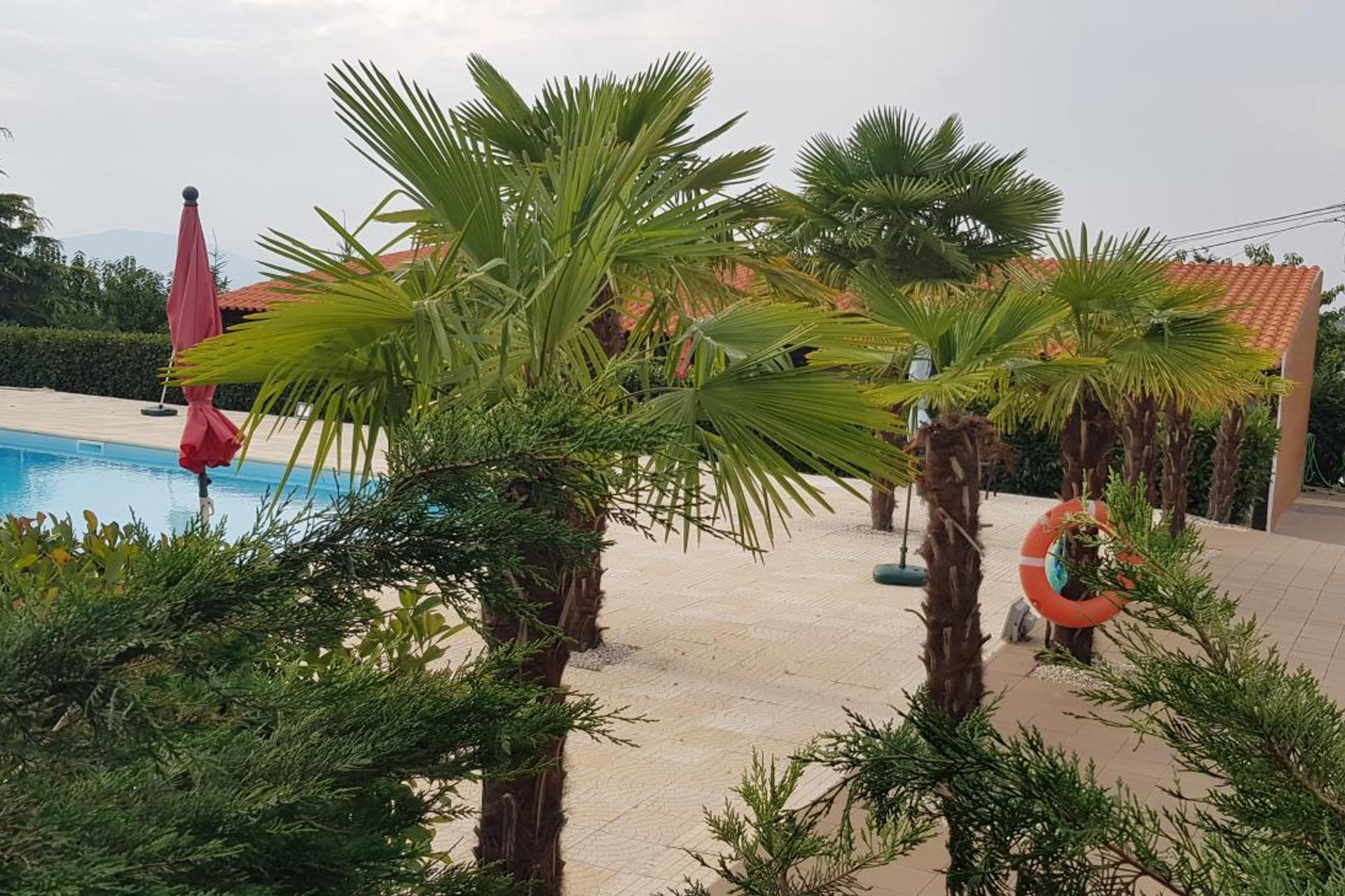 Descubra Gojim Casa Rural: Uma Experiência Única em Acomodação - Imagem 48