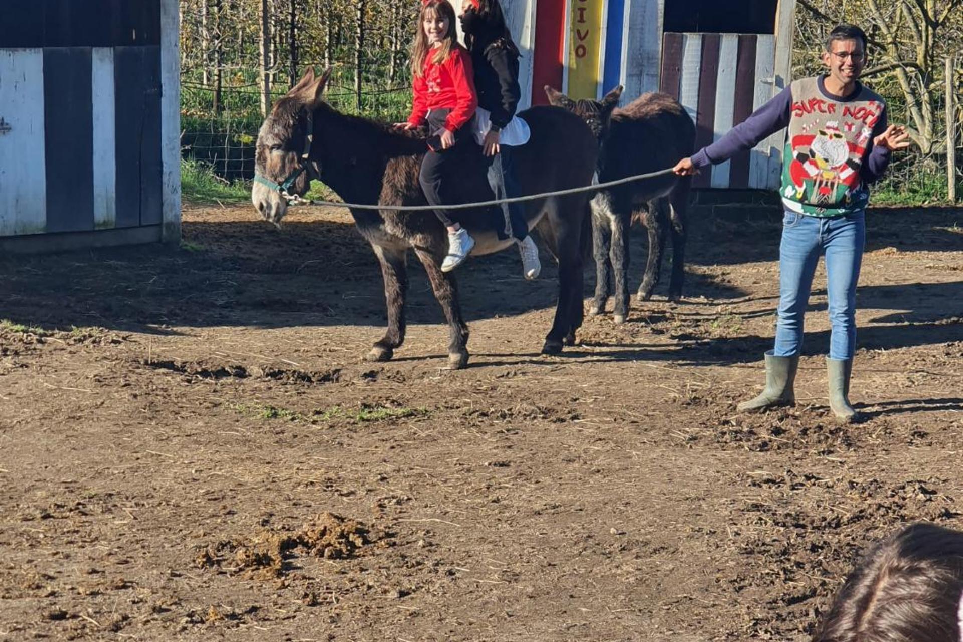 Descubra Gojim Casa Rural: Uma Experiência Única em Acomodação - Imagem 85