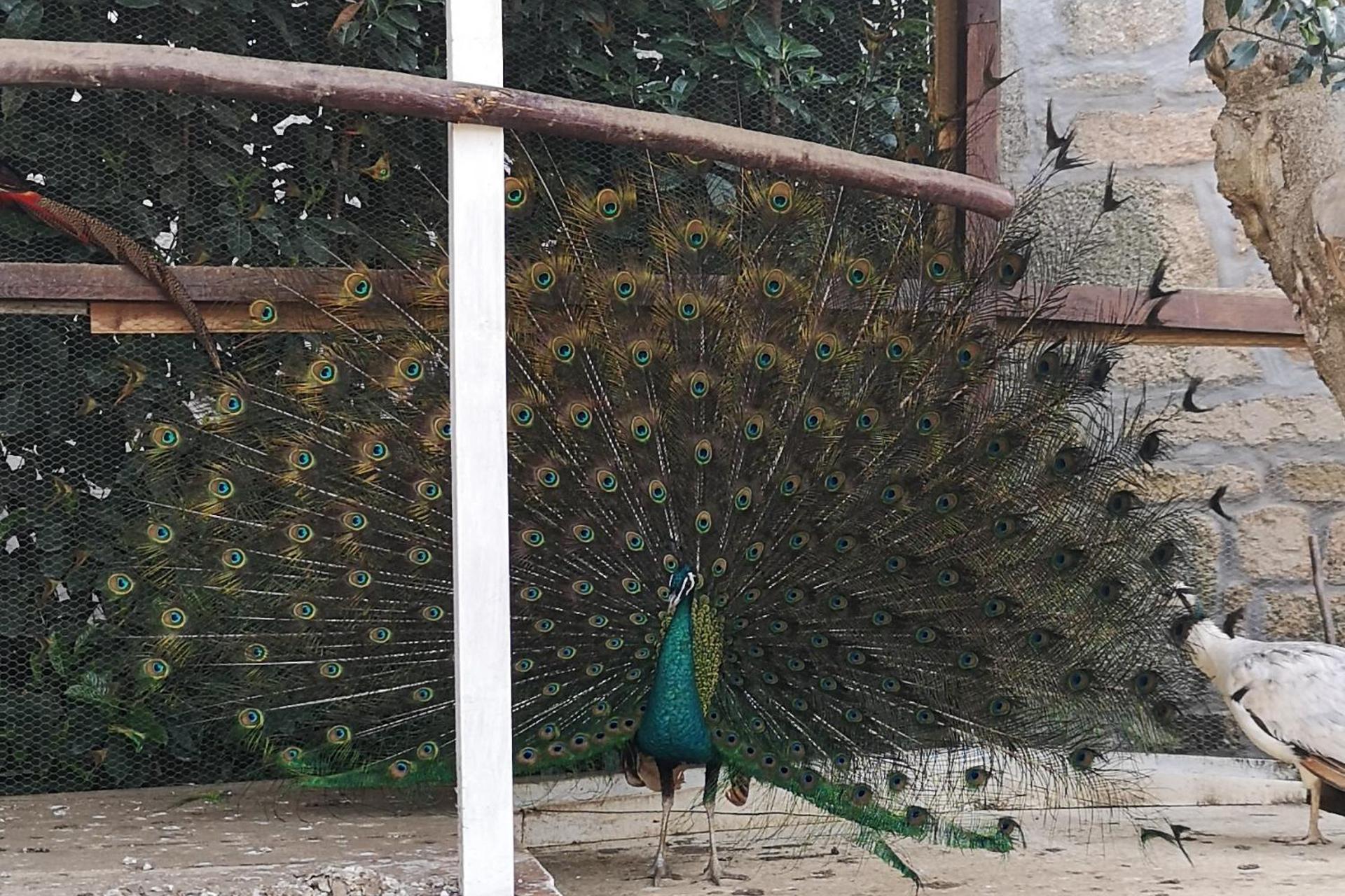 Descubra Gojim Casa Rural: Uma Experiência Única em Acomodação - Imagem 88