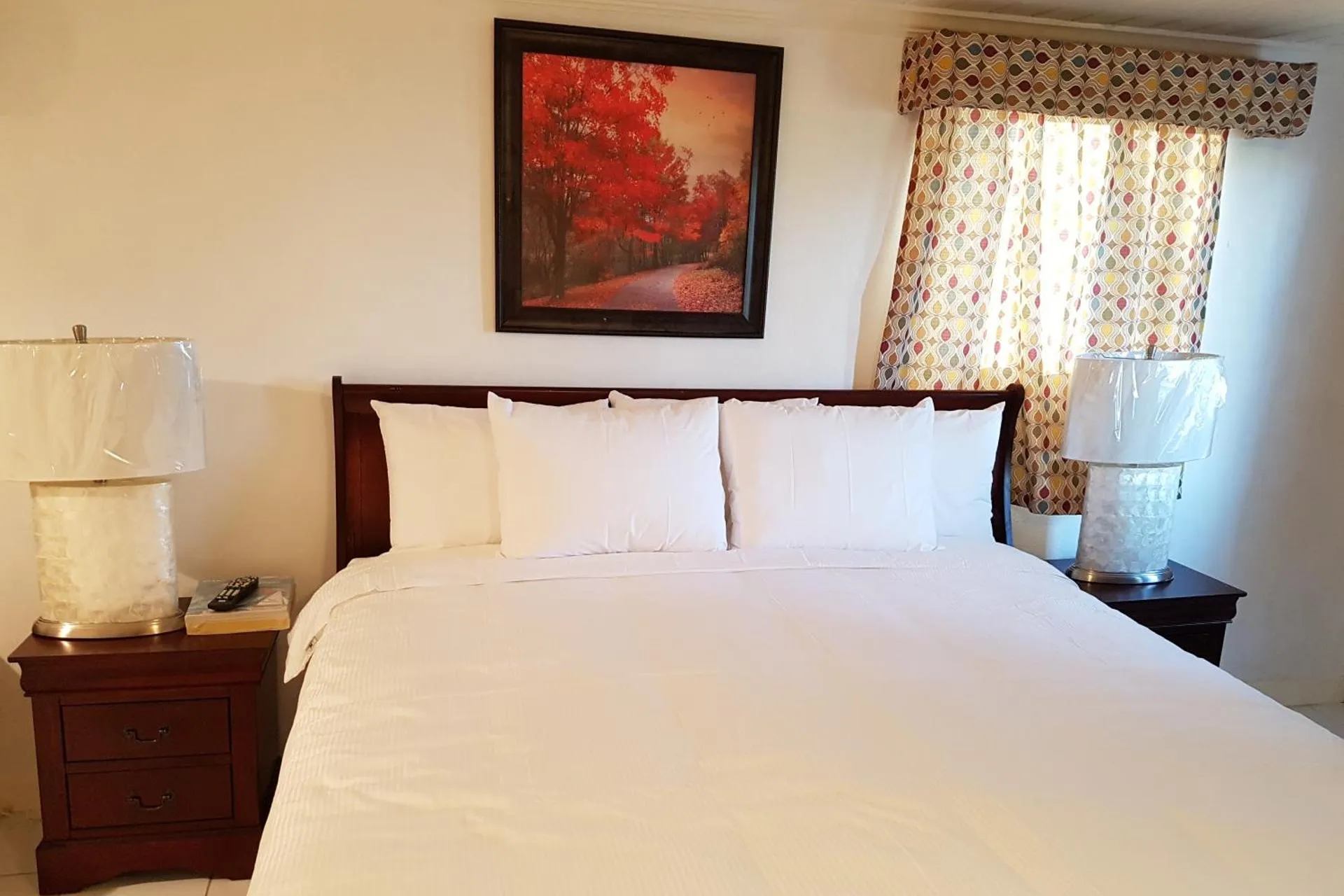 Golden Palm B & B - Image 13