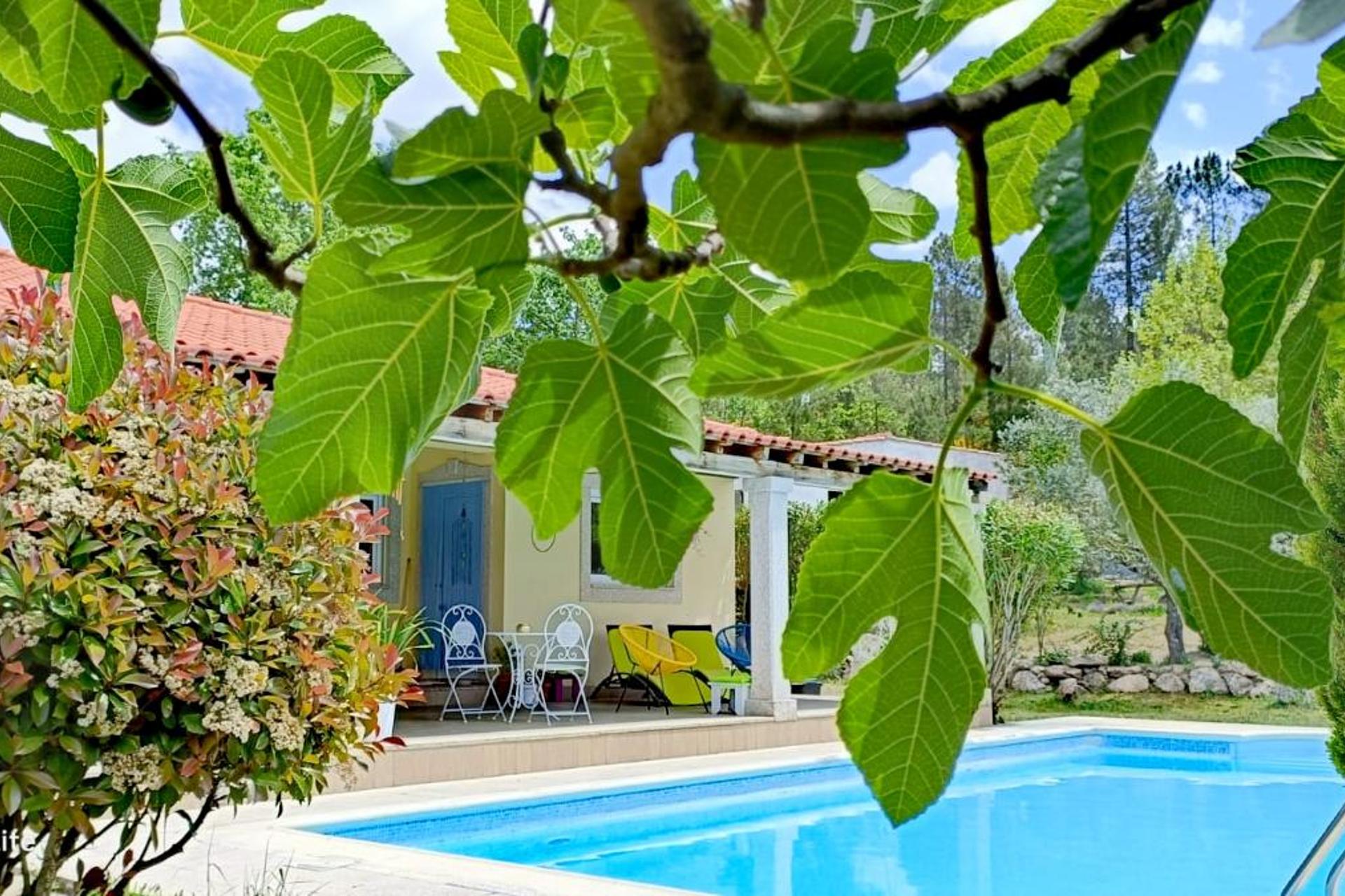 Descubra o Hostel Encostas Do Douro: Uma Experiência Acolhedora e Inesquecível - Imagem 46