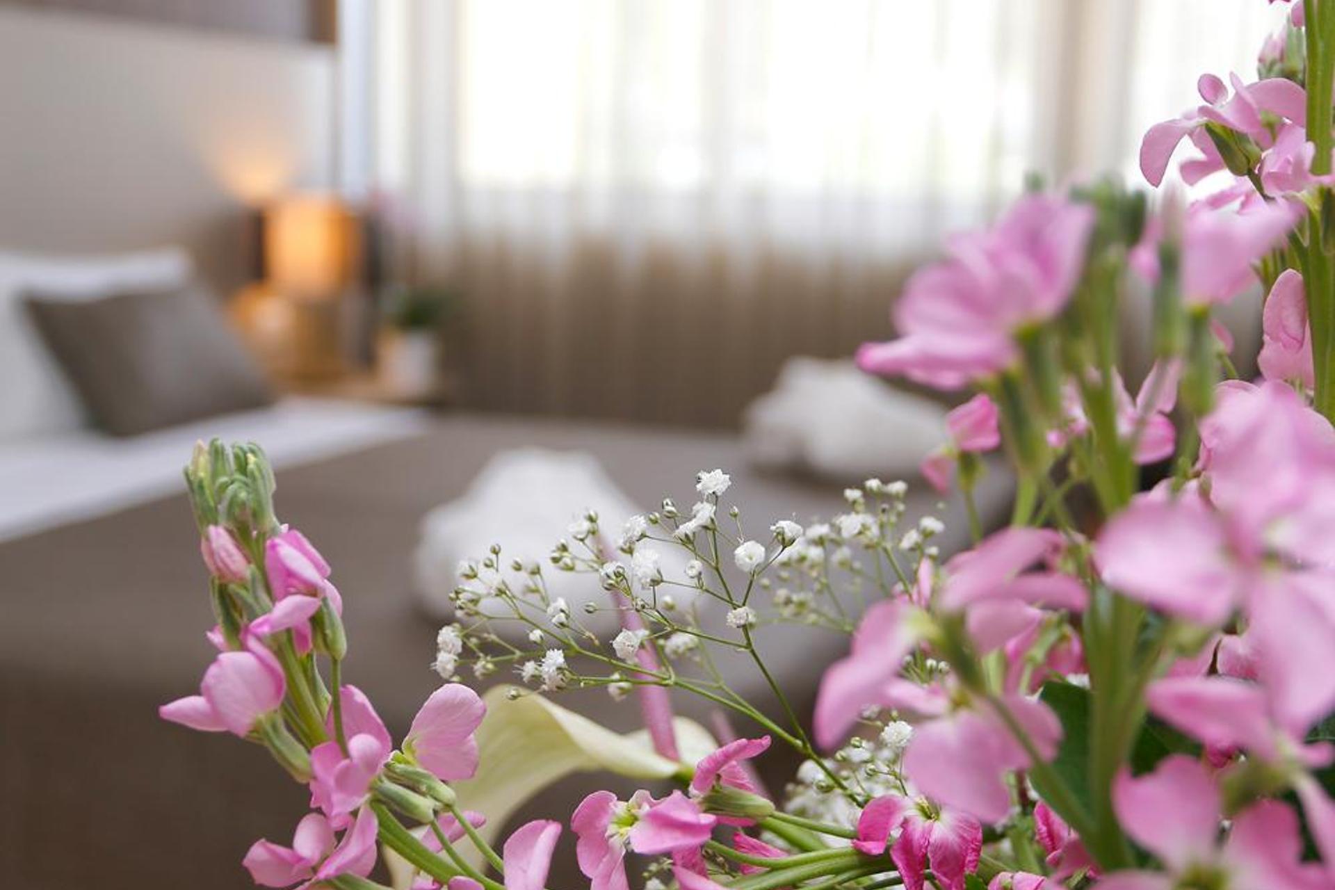 Descubra o Hotel Douro Inn: A Base Perfeita para Sua Estadia - Imagem 23