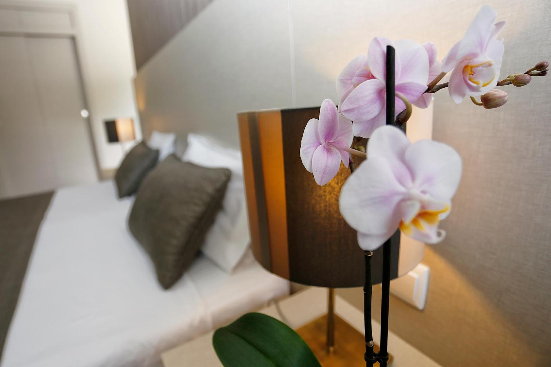 Descubra o Hotel Douro Inn: A Base Perfeita para Sua Estadia - Imagem 31