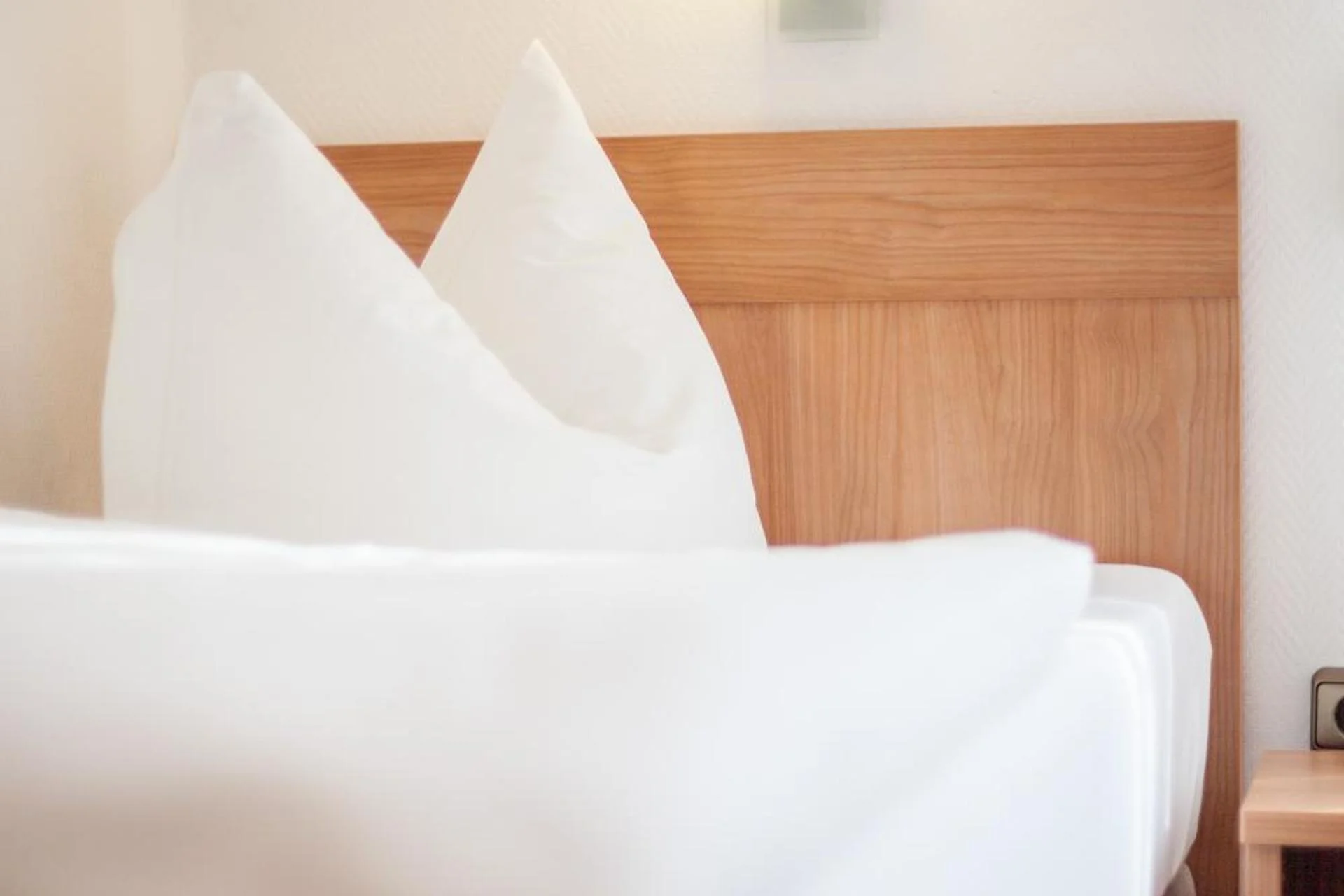 Hotel Lohenstein - Image 4