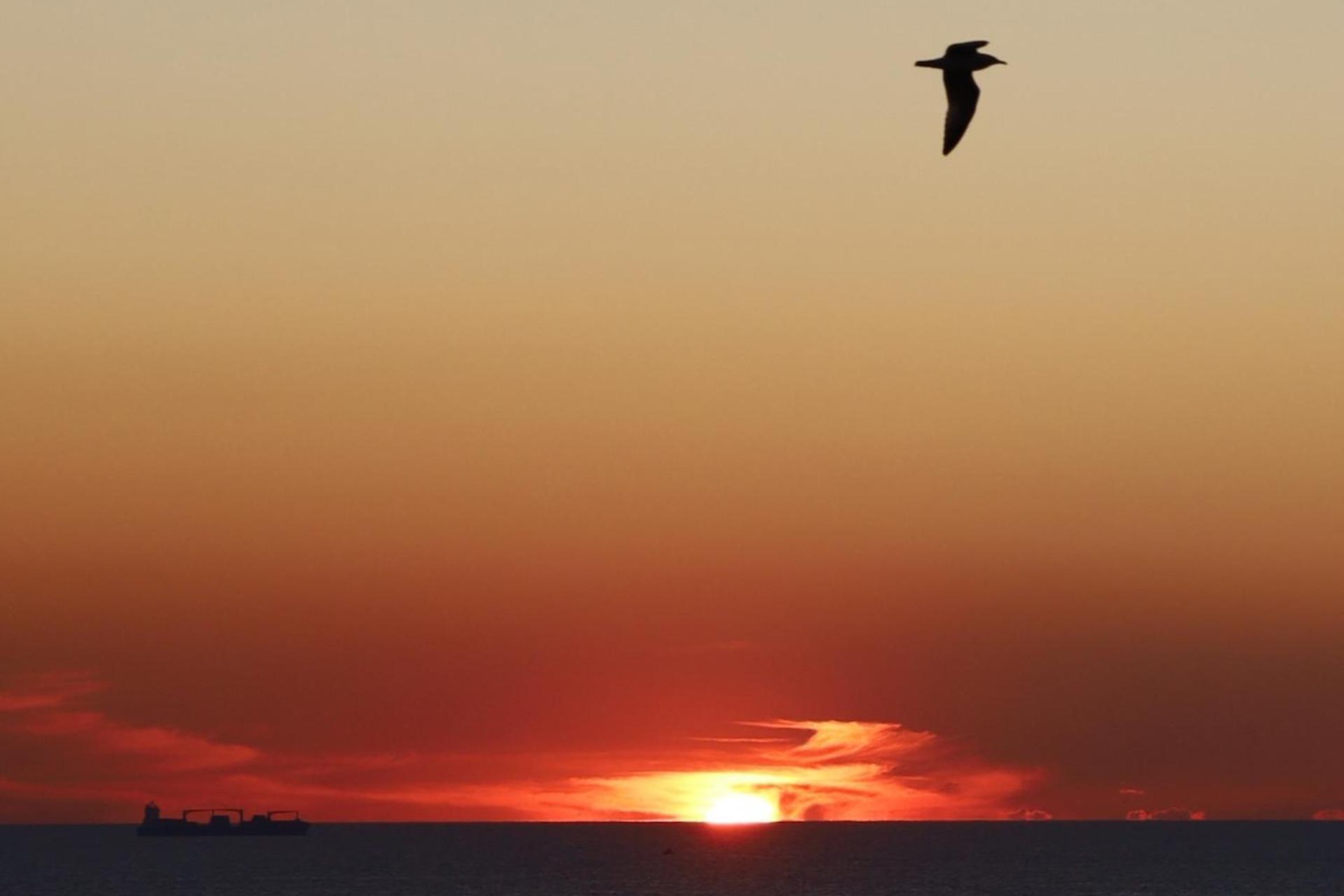 Descubra o Hotel Portofoz: Conforto e Serviços de Qualidade à Beira-Mar - Imagem 87