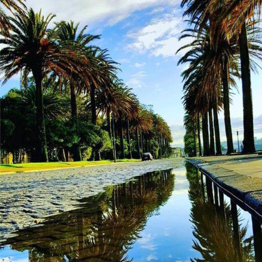 Descubra o Hotel Portofoz: Conforto e Serviços de Qualidade à Beira-Mar - Imagem 97