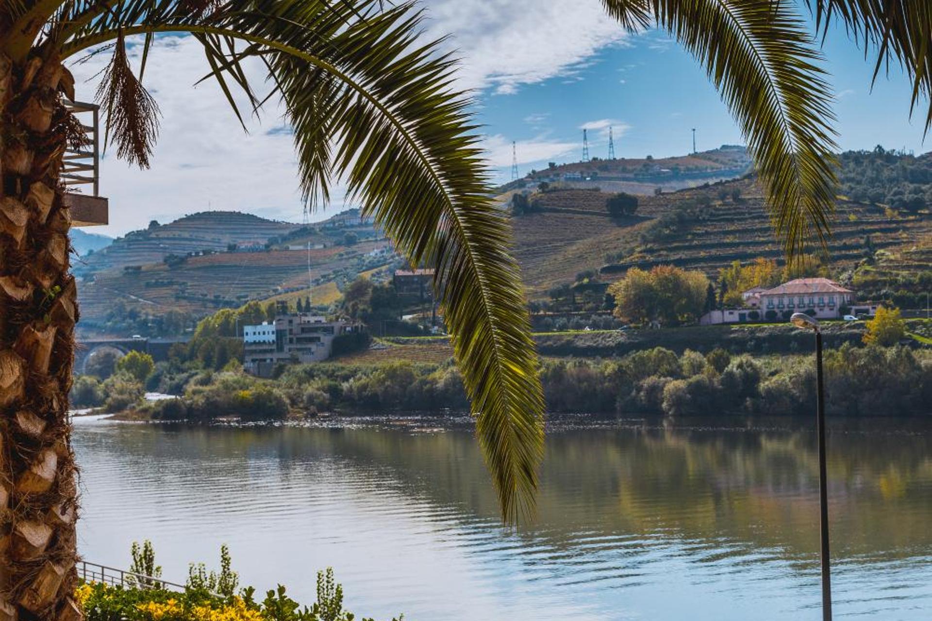 Descubra o Conforto e a Tradição do Hotel Regua Douro - Imagem 37