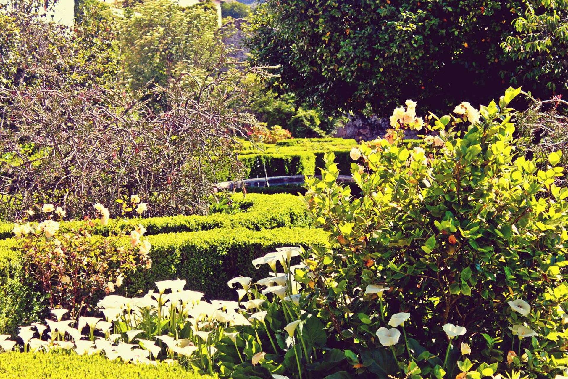 Descubra o Hotel Rural Casa dos Viscondes da Varzea: Um Refúgio de Confiança e Conforto - Imagem 101