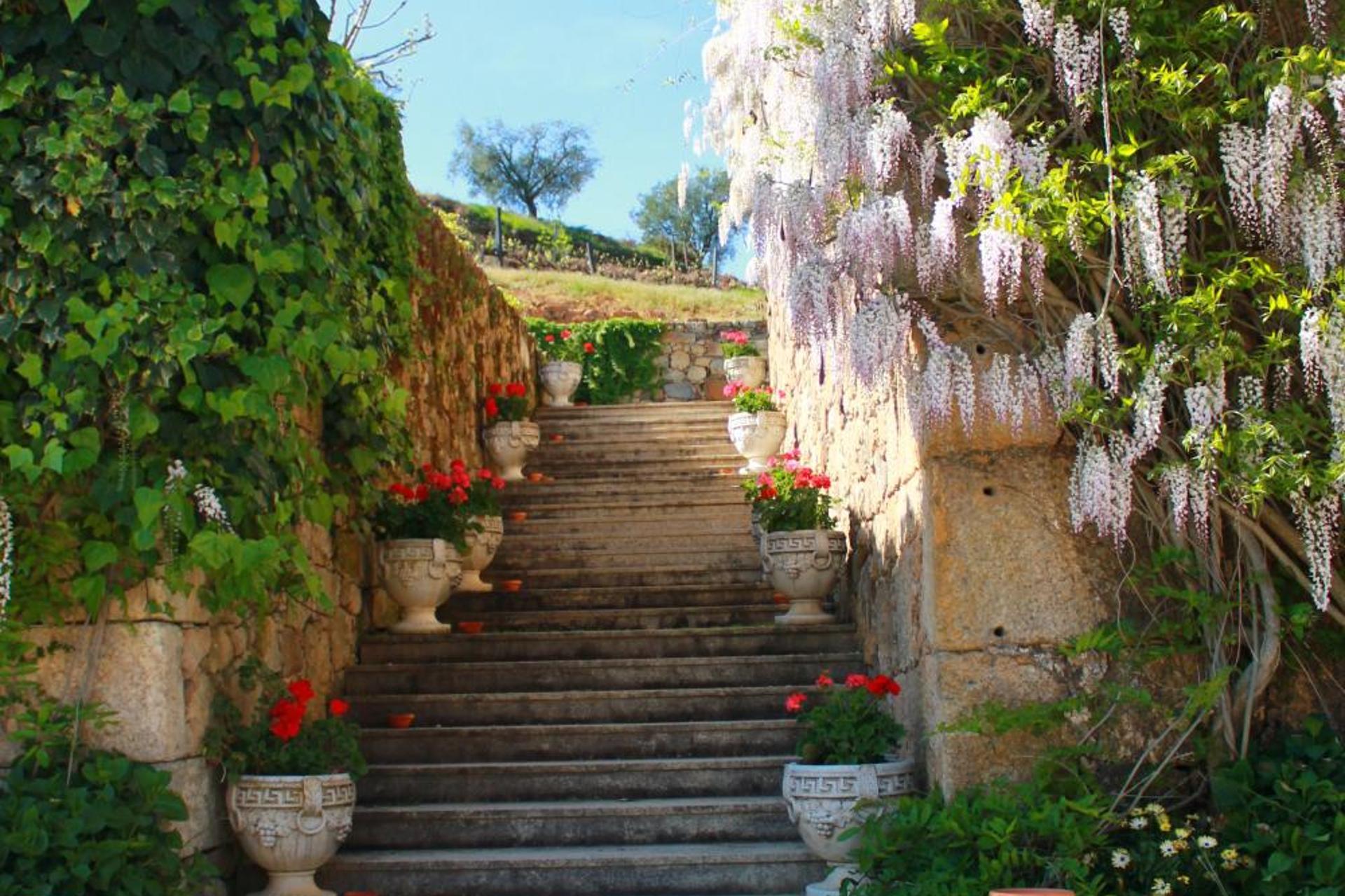 Descubra o Hotel Rural Casa dos Viscondes da Varzea: Um Refúgio de Confiança e Conforto - Imagem 102