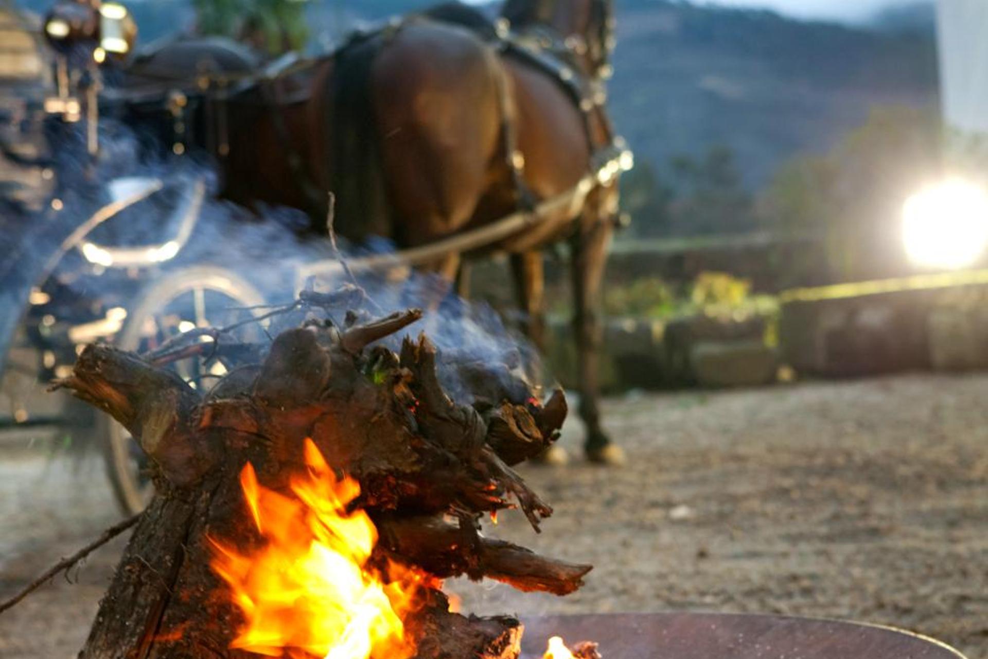 Descubra o Hotel Rural Casa dos Viscondes da Varzea: Um Refúgio de Confiança e Conforto - Imagem 6