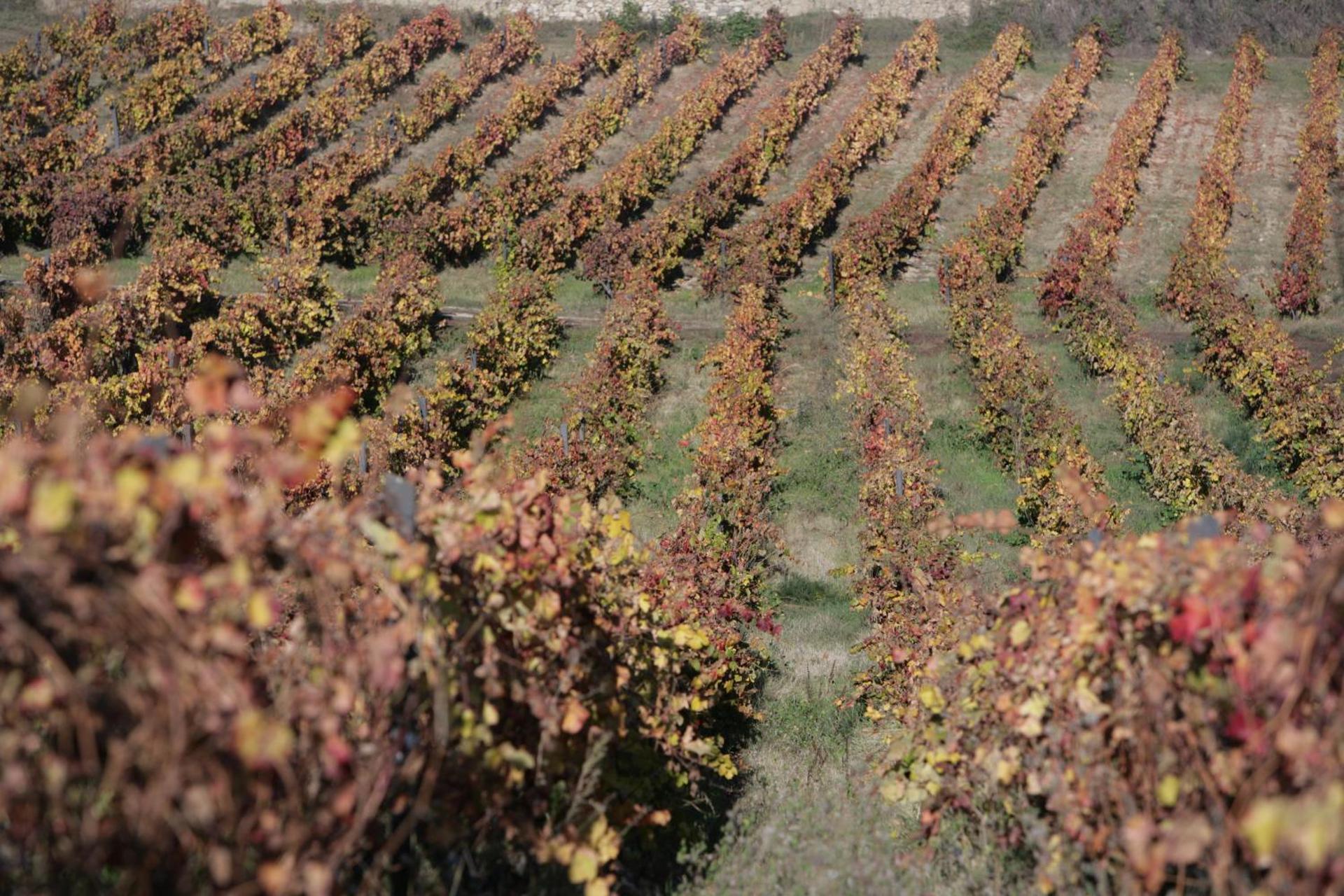 Descubra o Hotel Rural Casa dos Viscondes da Varzea: Um Refúgio de Confiança e Conforto - Imagem 79