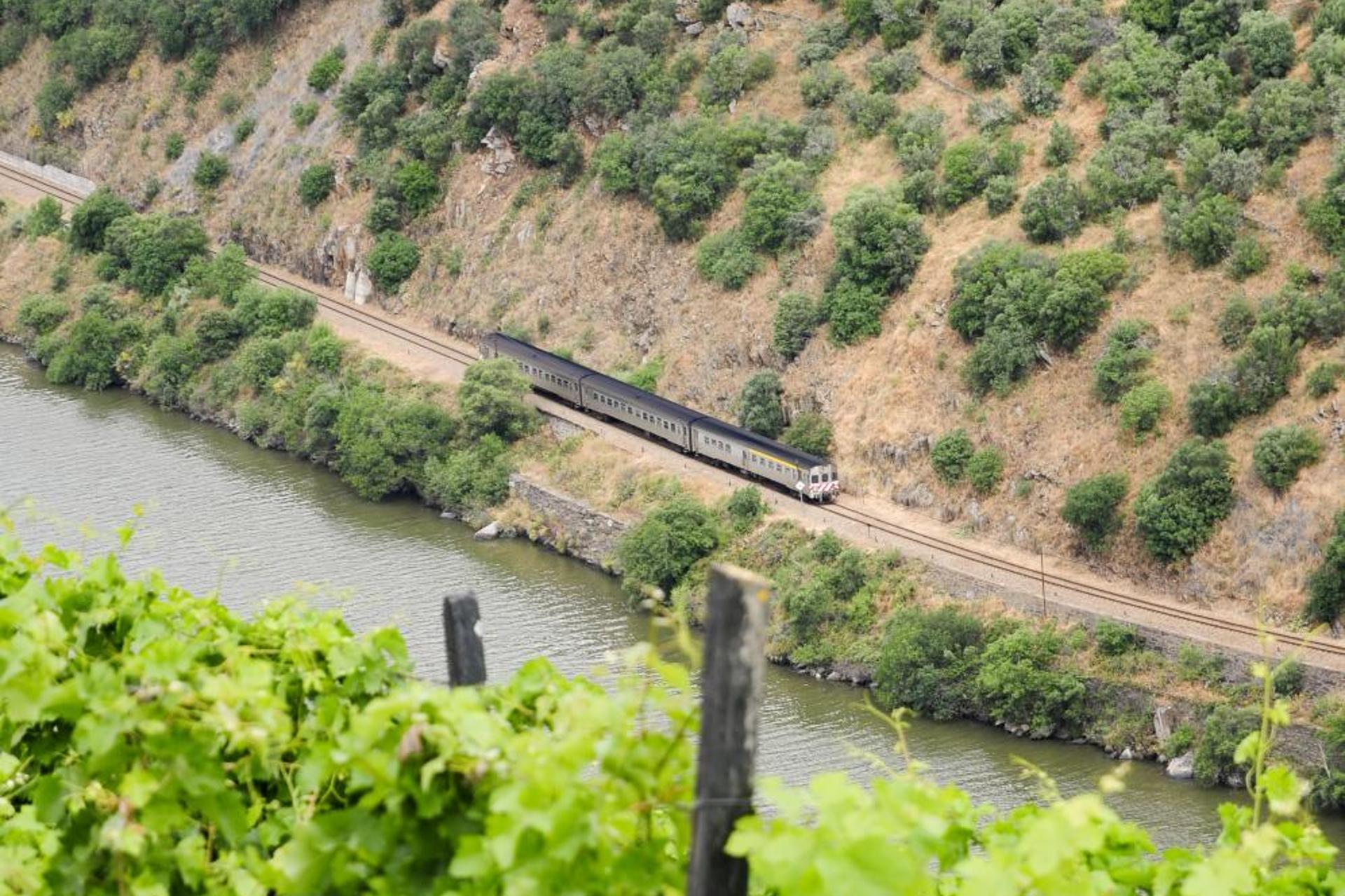 Descubra o Refúgio Ideal no Hotel Rural Quinta do Pégo - Imagem 89