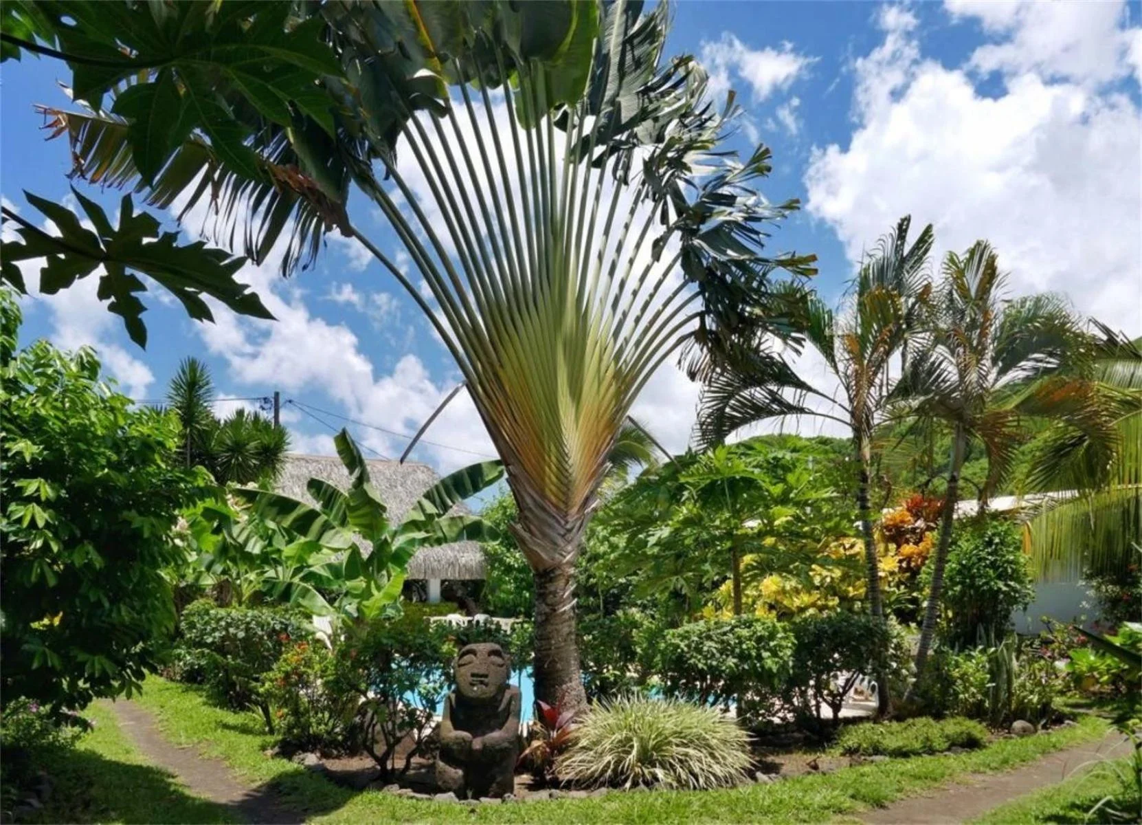 Hotel Sarah Nui - Image 12
