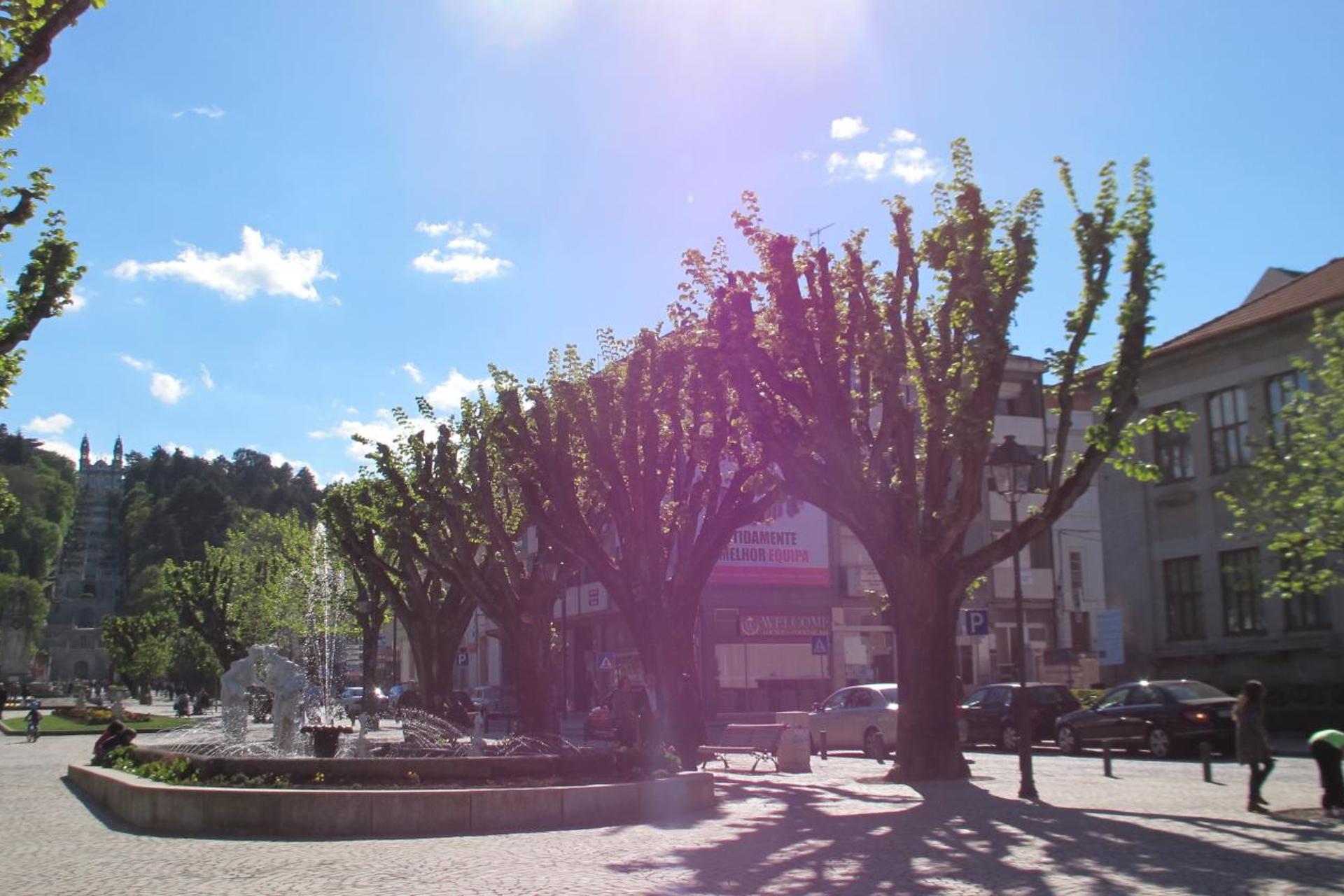 Hotel Solar dos Pachecos: Uma Experiência Inesquecível em Hospitalidade - Imagem 72
