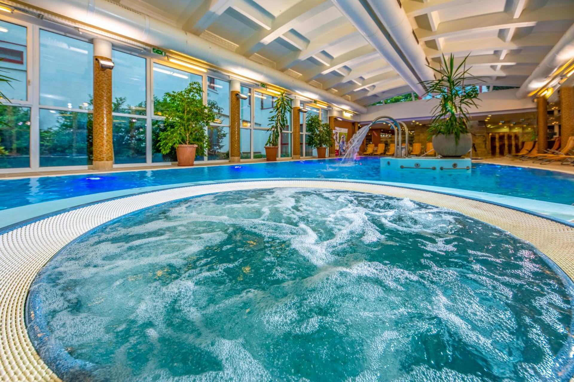 Experience Relaxation and Wellness at Hotel Thermal-Harkany, Hungary - Image 1