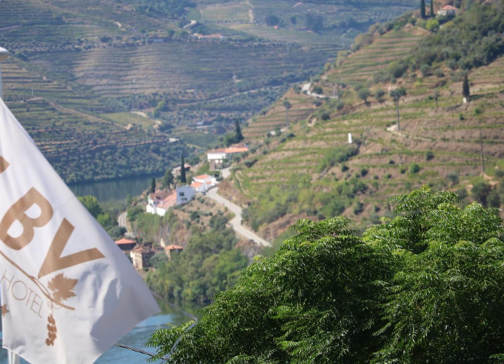 Descubra o LBV House Hotel: Conforto e Atendimento Excepcional para Todos - Imagem 55