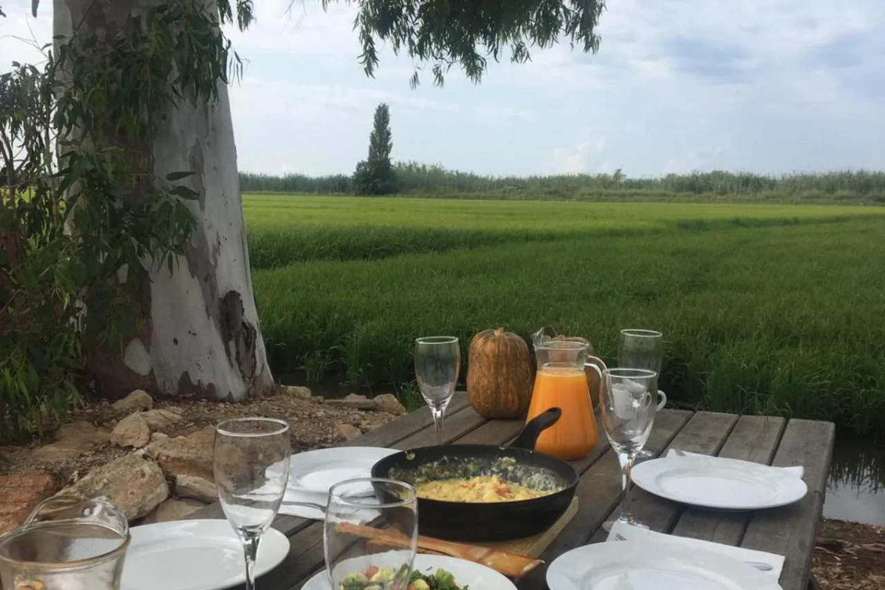 Experience the Charm of Mas dels Bonos in the Heart of the Spanish Countryside - Image 12