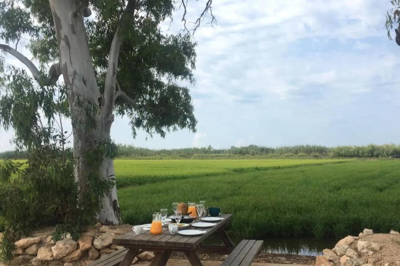 Experience the Charm of Mas dels Bonos in the Heart of the Spanish Countryside - Image 20