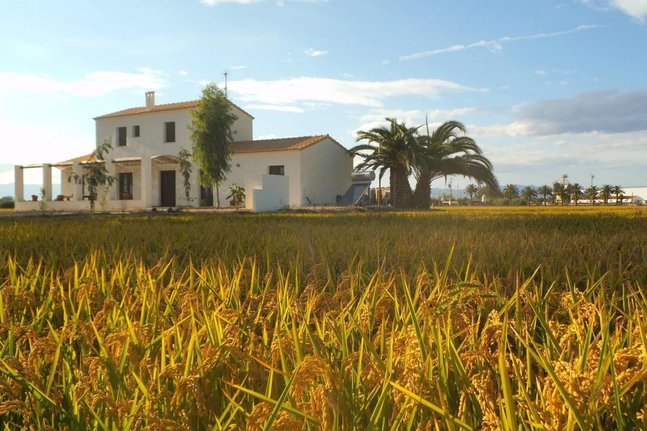 Experience the Charm of Mas dels Bonos in the Heart of the Spanish Countryside - Image 5