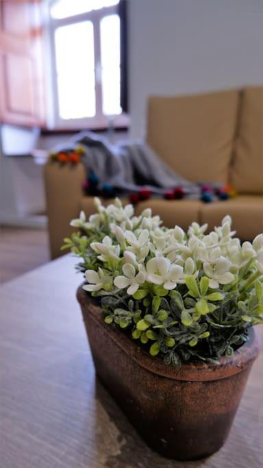 Descubra O Cantinho do Colégio: Um Refúgio Aconchegante em Família - Imagem 33