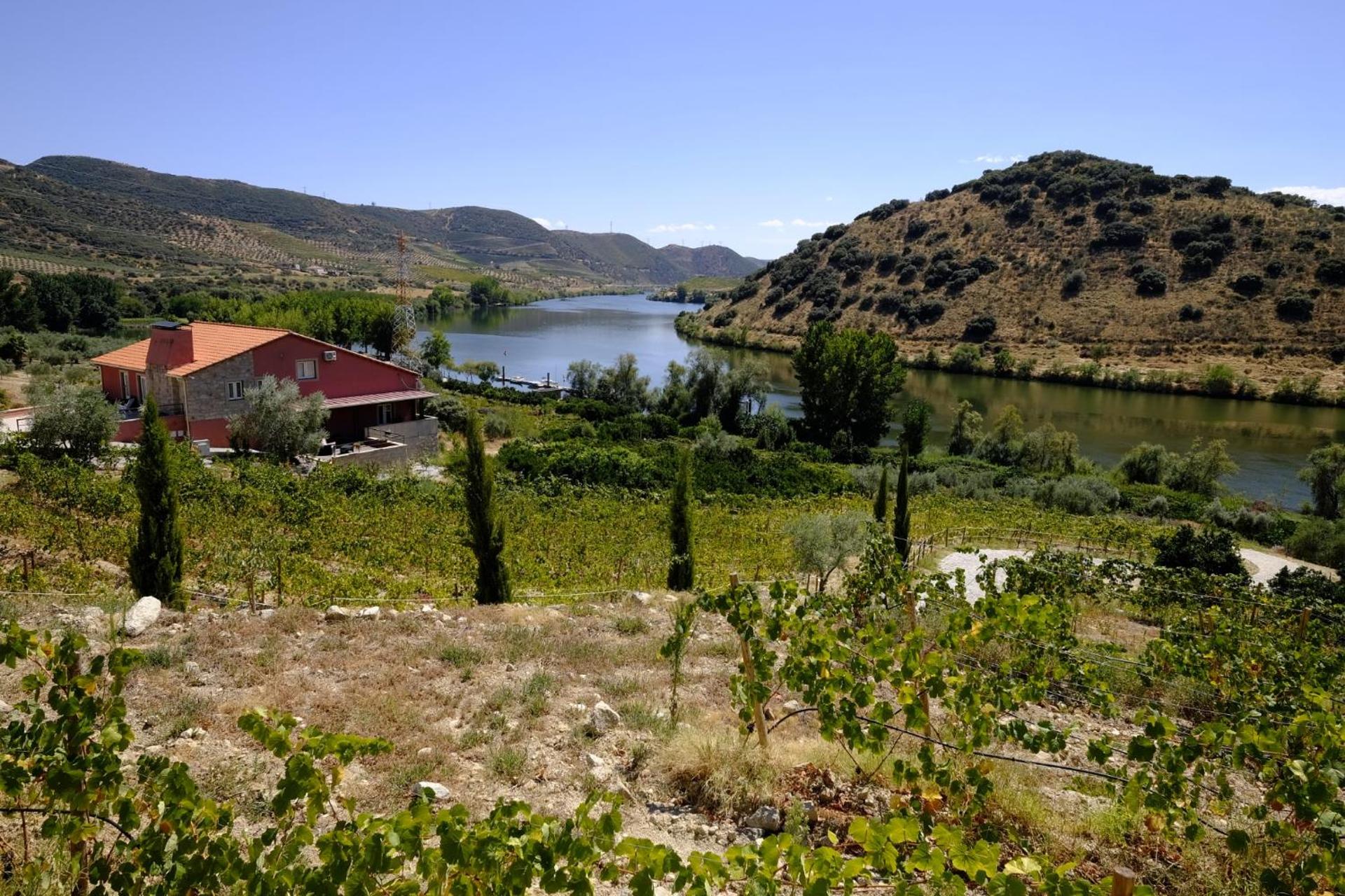 Descubra Olhares do Douro: Um Refúgio em Meio à Natureza - Imagem 55