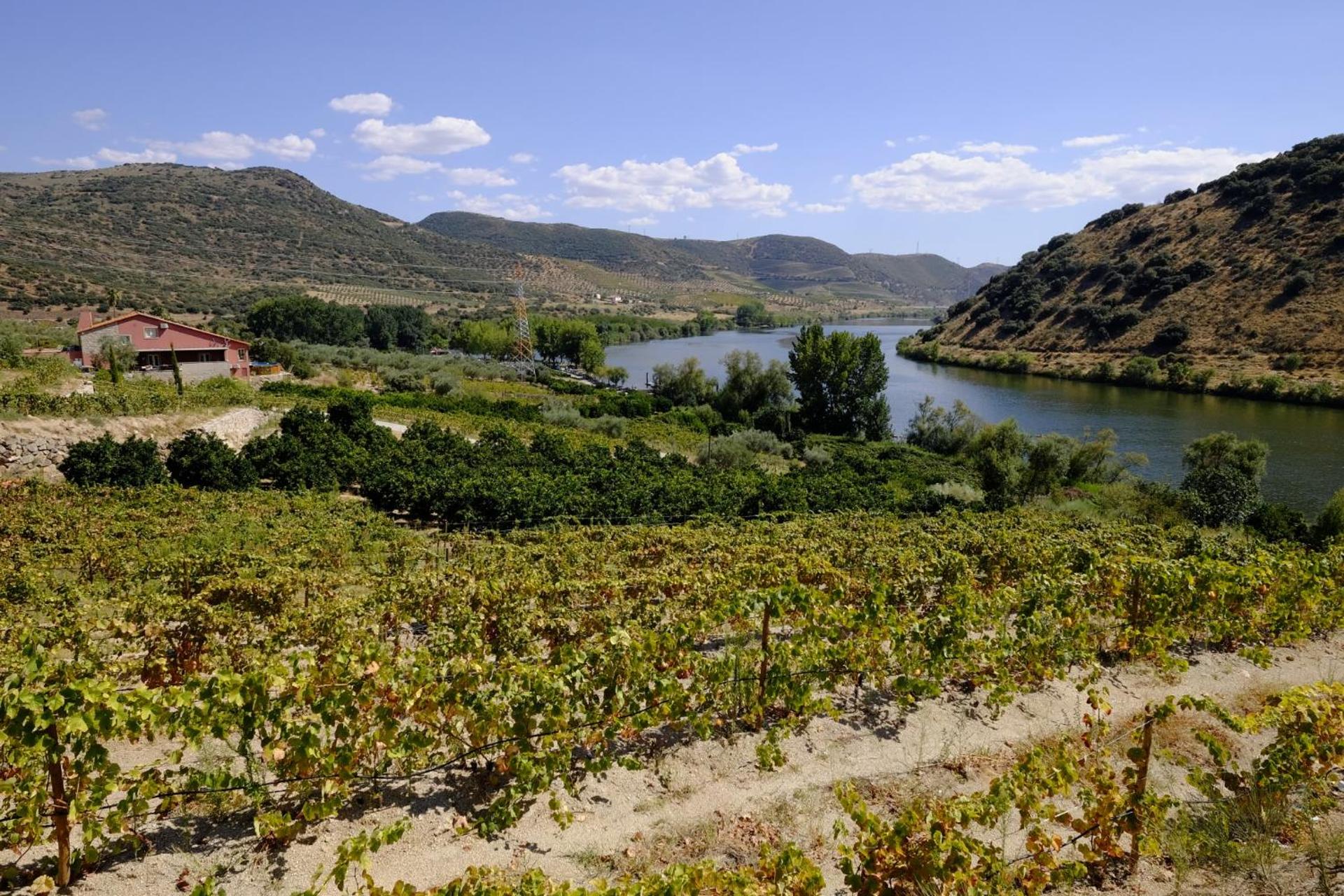 Descubra Olhares do Douro: Um Refúgio em Meio à Natureza - Imagem 56