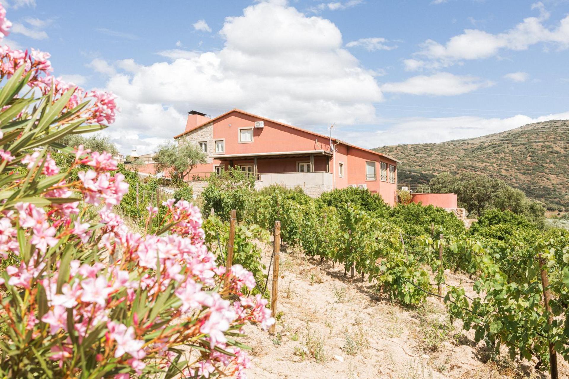 Descubra Olhares do Douro: Um Refúgio em Meio à Natureza - Imagem 63