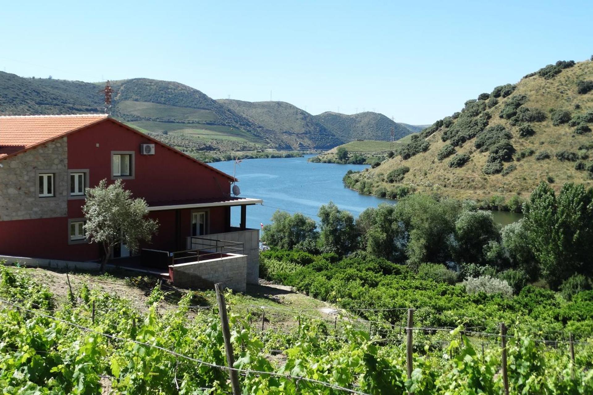 Descubra Olhares do Douro: Um Refúgio em Meio à Natureza - Imagem 65