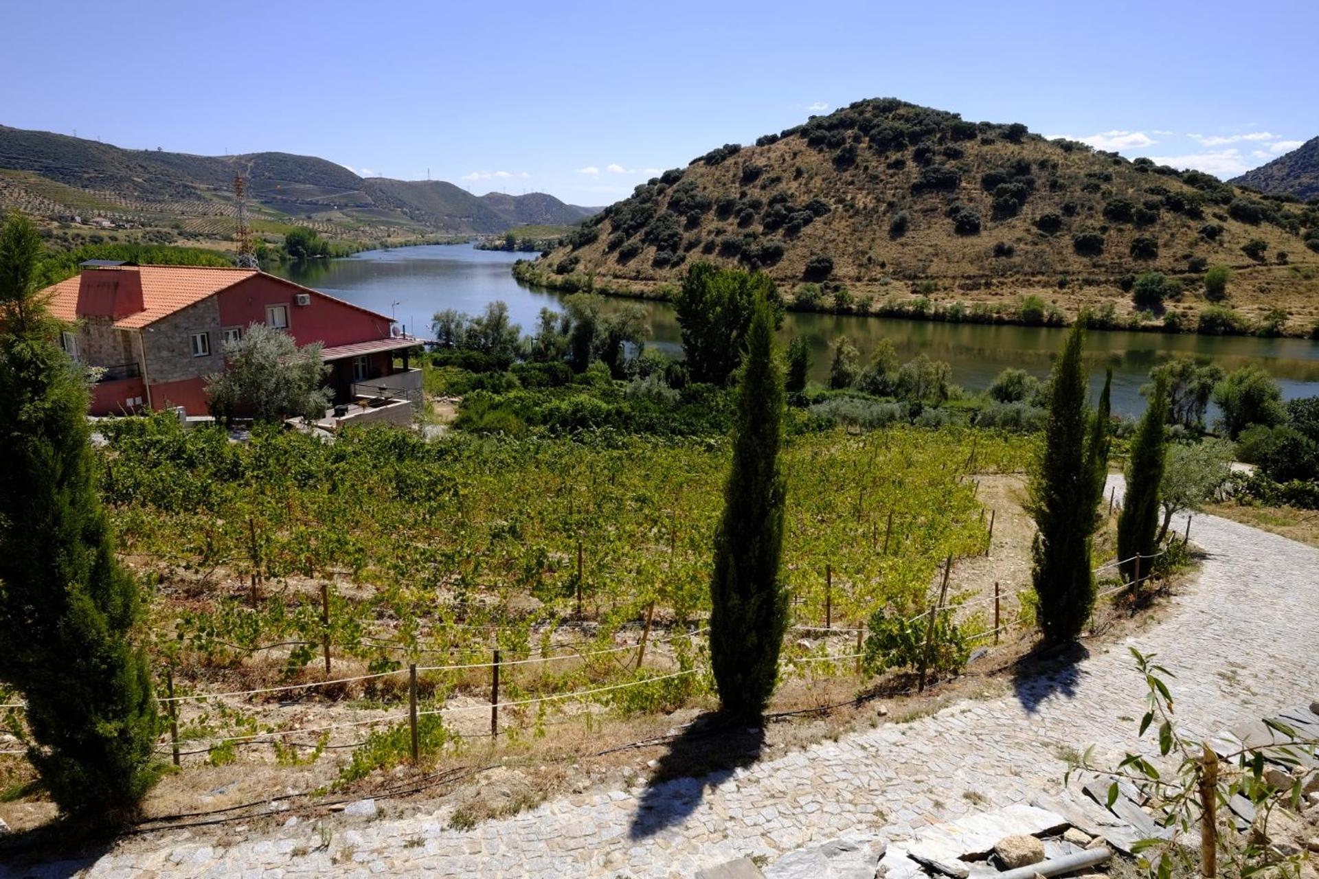 Descubra Olhares do Douro: Um Refúgio em Meio à Natureza - Imagem 68