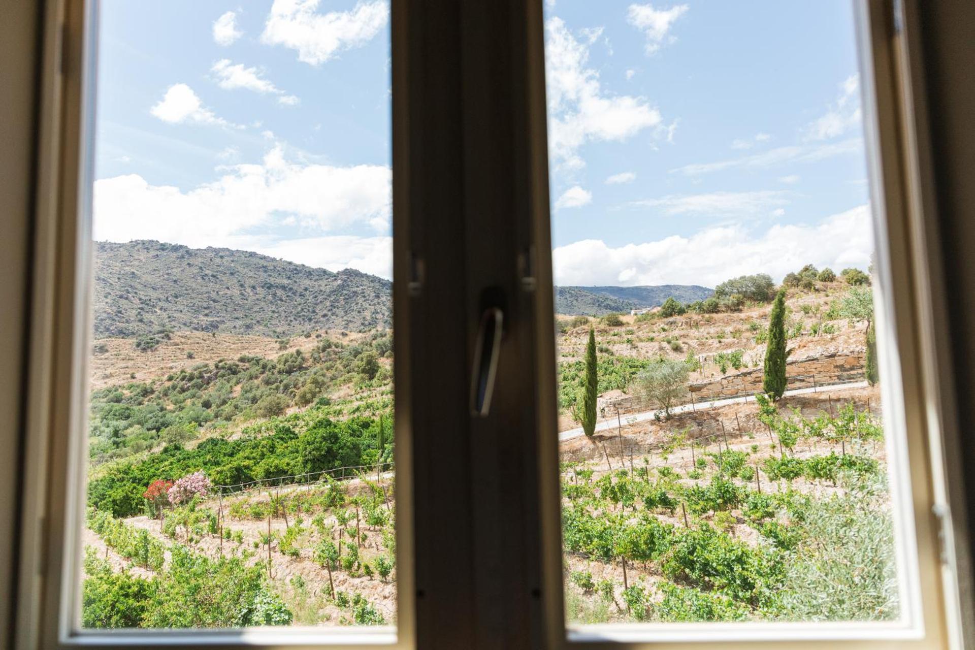 Descubra Olhares do Douro: Um Refúgio em Meio à Natureza - Imagem 80