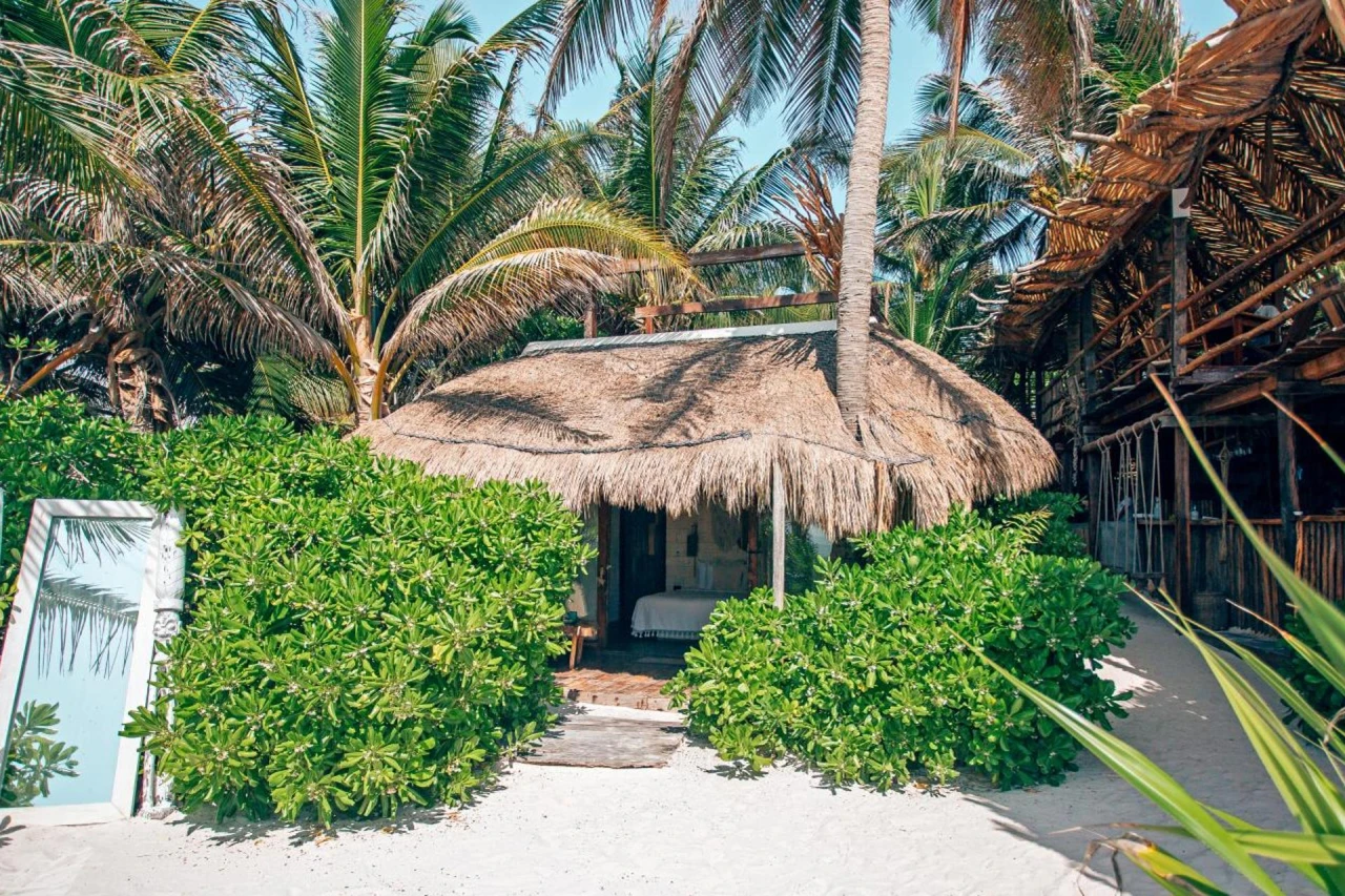 Orchid Beach House Adults Only - Image 7