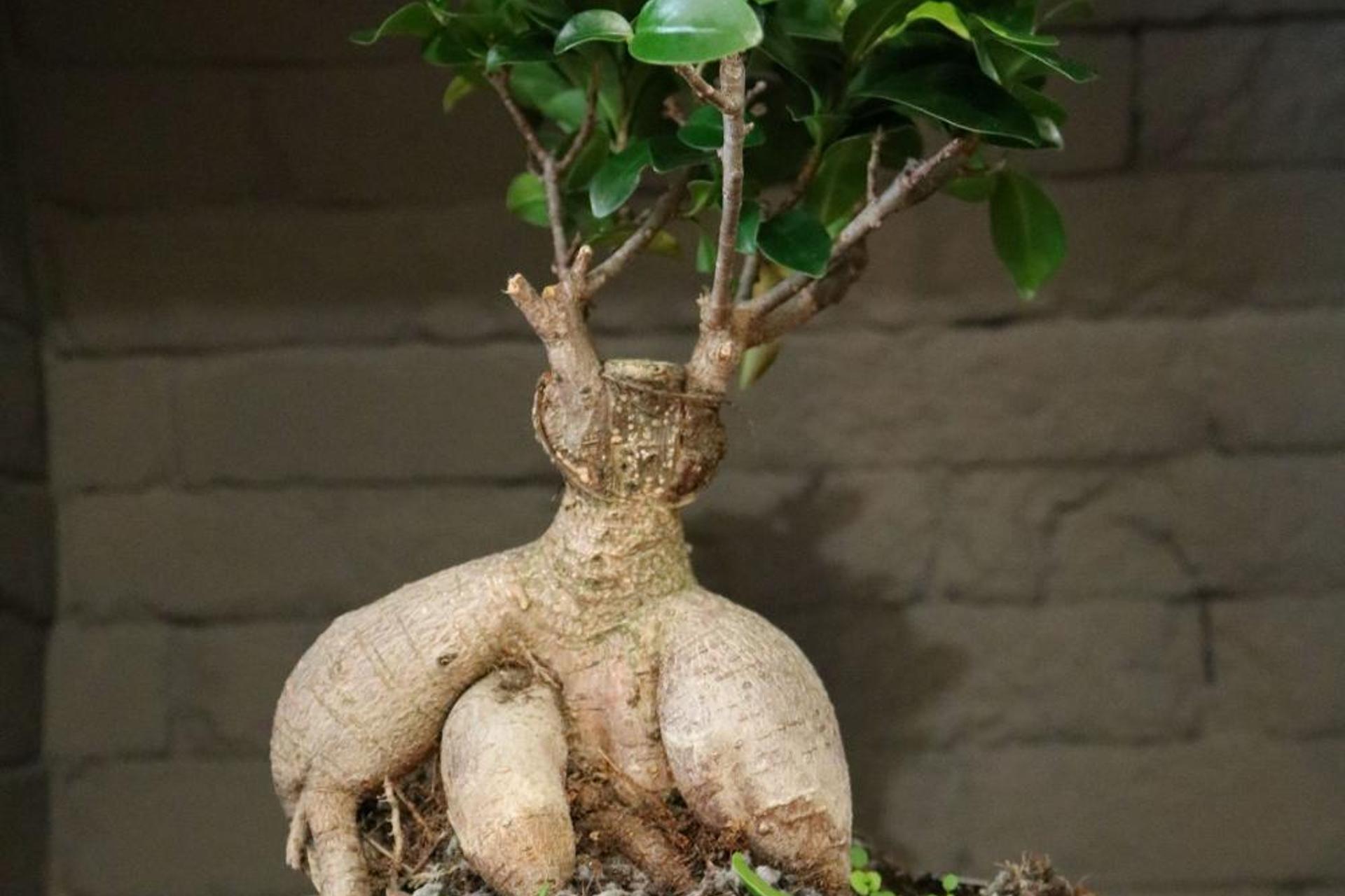 Descubra o Origami Porto Residência & Hostel: A Sua Casa em Portugal - Imagem 80