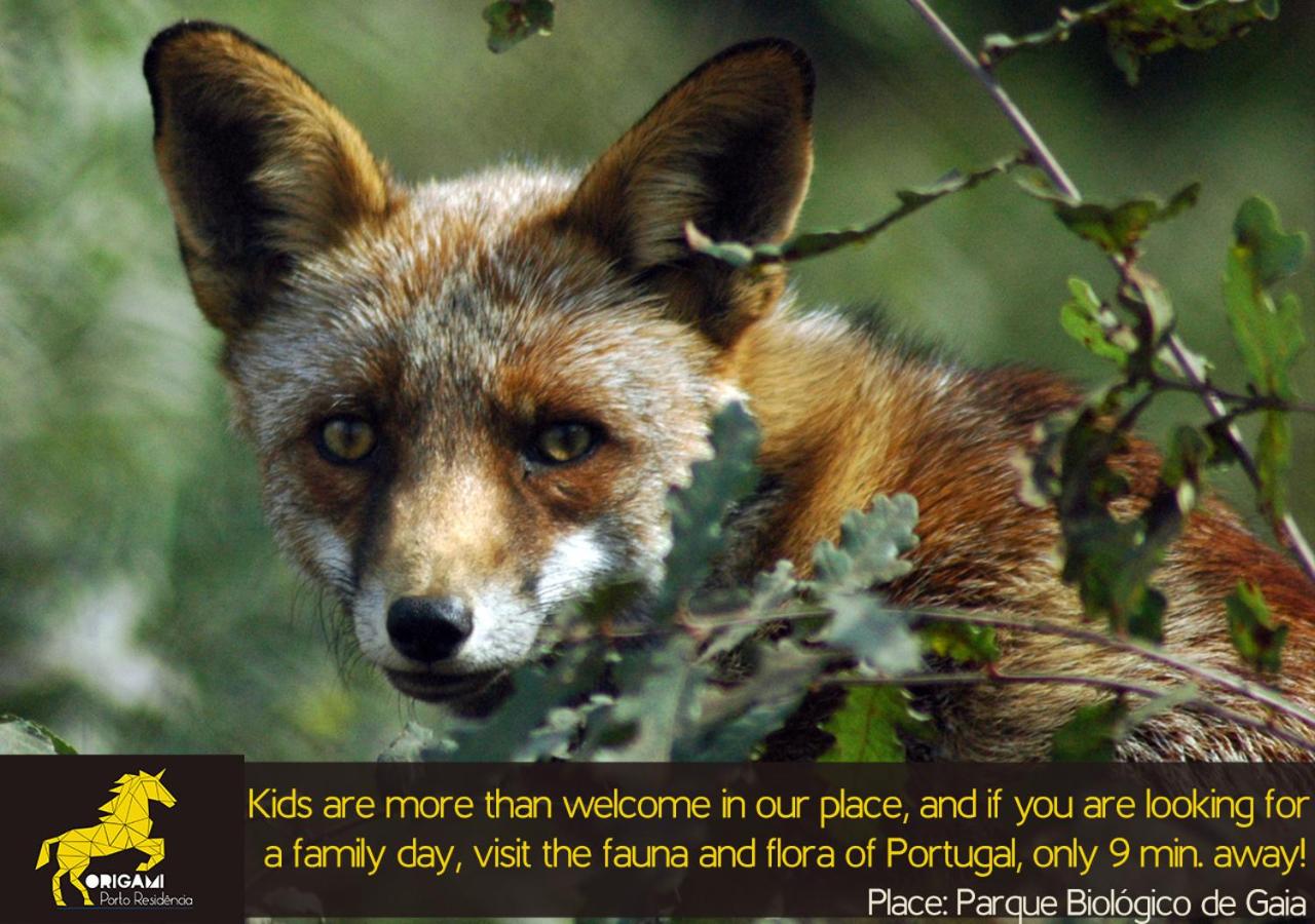 Descubra o Origami Porto Residência & Hostel: A Sua Casa em Portugal - Imagem 96