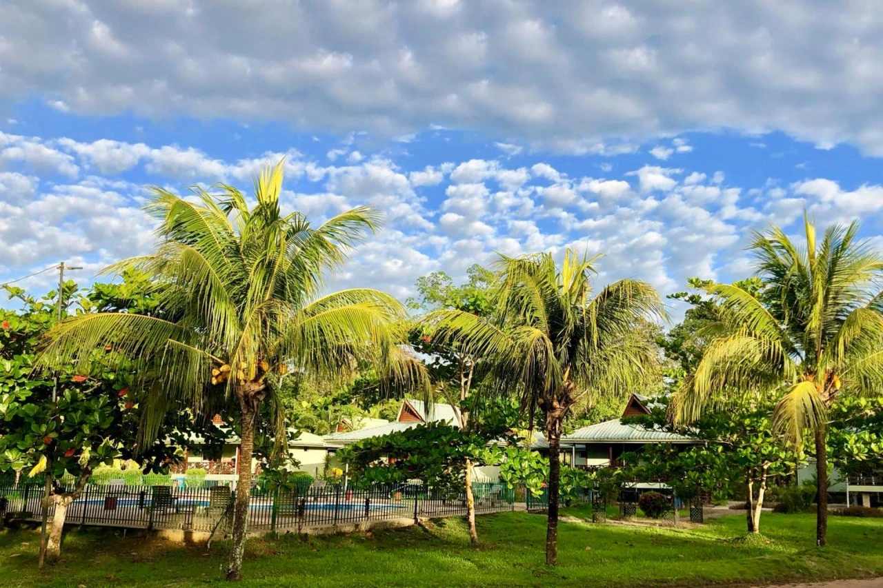 Overbridge River Resort - Image 8