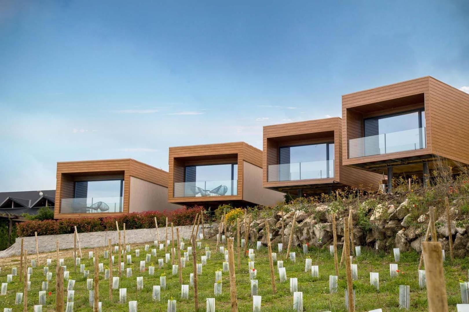 Descubra o Paraíso Douro AL: Sua Próxima Escapada na Região do Douro - Imagem 59