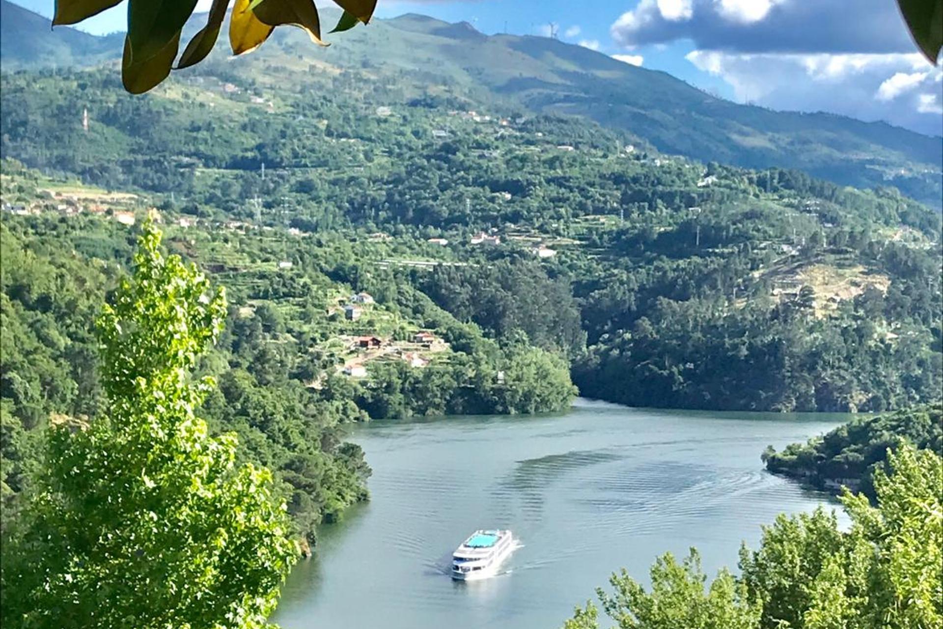 Descubra o Pedacinho de Mundo Douro: Um Refúgio de Conforto e Estilo - Imagem 19